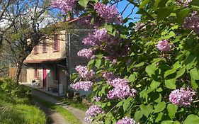 La Lupa E L'Orso B&B